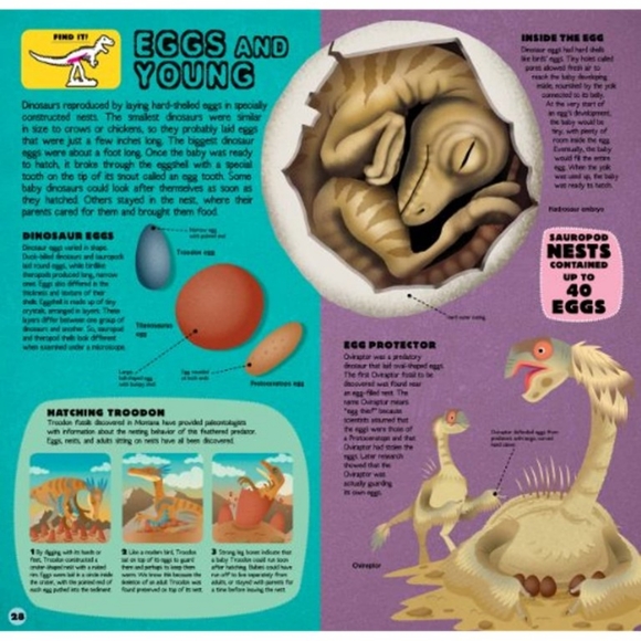 Build The T.Rex Book Build a 2 Foot Dinosaur - Picture 4 of 12